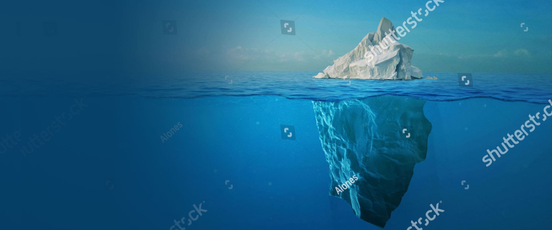 Website Image Alt